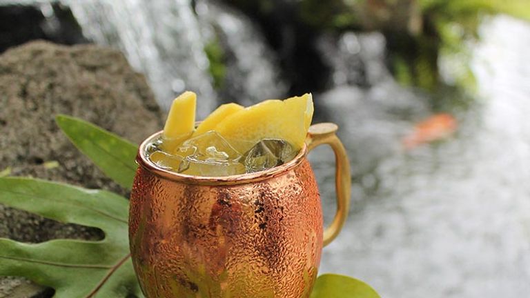 A Bourbon Mango Mule from Westin Princeville Ocean Resort Villas (Kauai) // © 2017 Westin Princeville Ocean Resort Villas