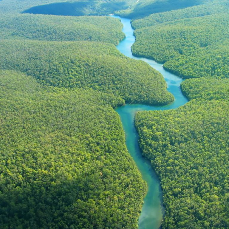 Amazon River Cruises