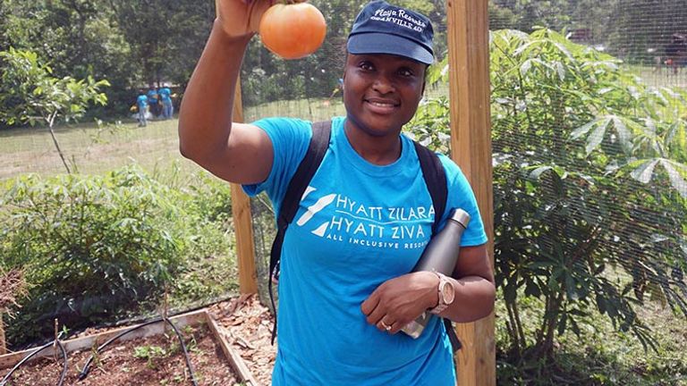 An employee holds a freshly harvested tomato. // © 2017 Valerie Chen