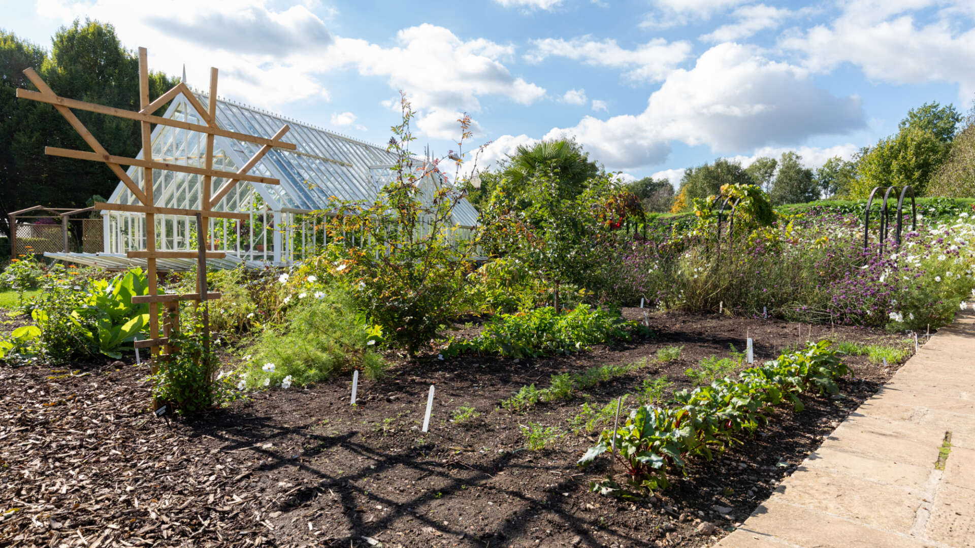 Vegetable growing area