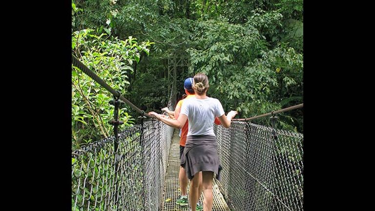 At the Mistico Arenal Hanging Bridges Park, 15 bridges allow visitors to view birds and wildlife from above the forest canopy. // © 2017 Janice Mucalov