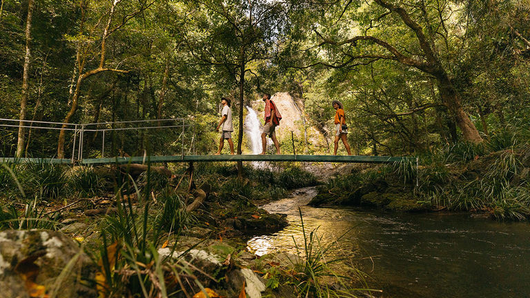 Australia’s Daintree Rainforest was returned to its Traditional Owners.