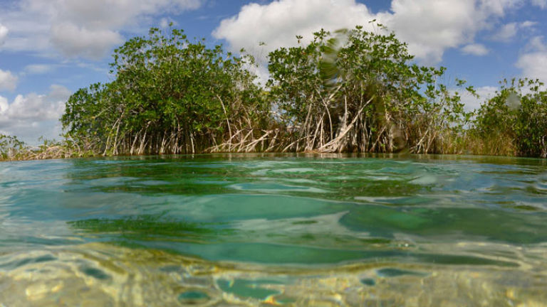 Bacalar // © 2016 iStock