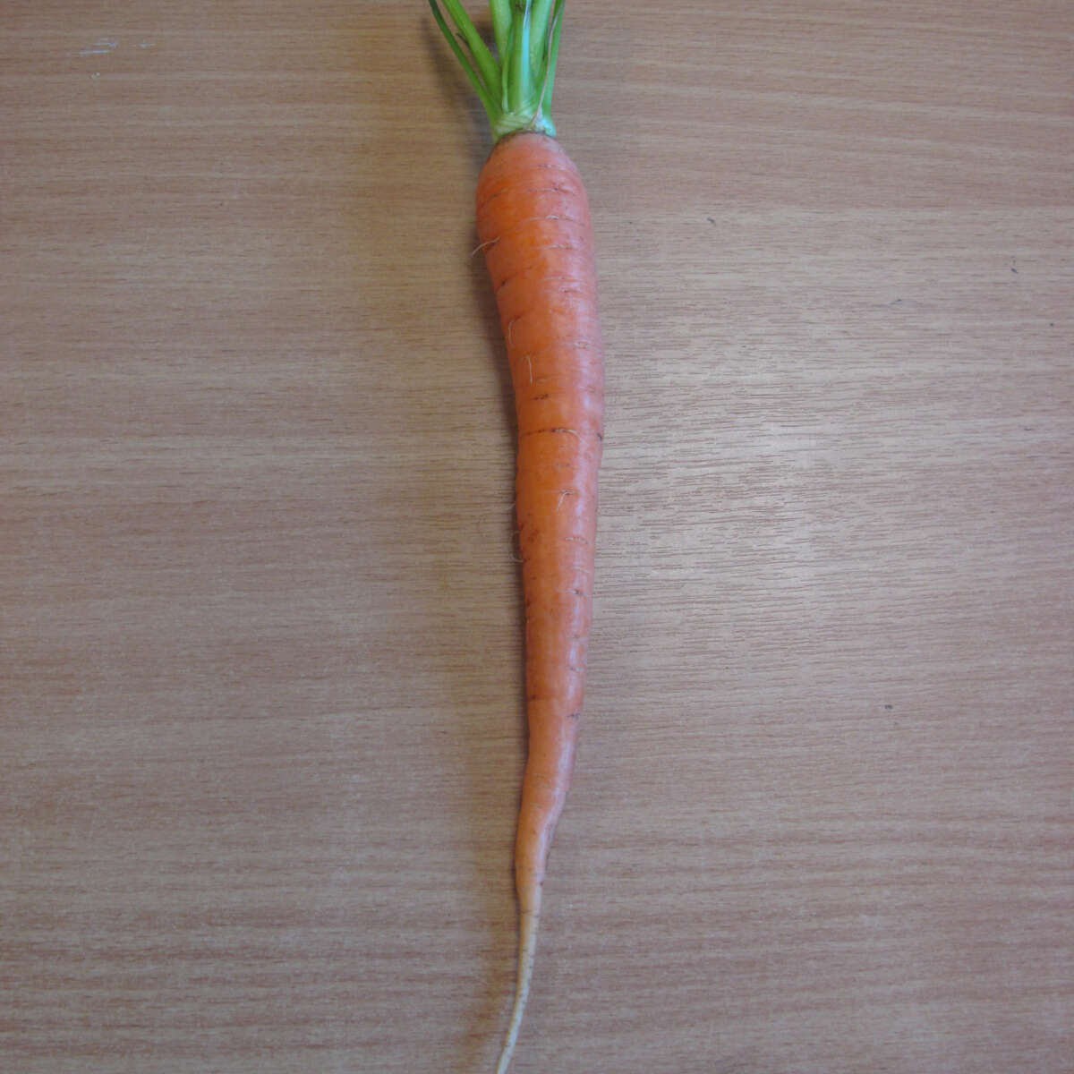 Alternative text should describe the visual content of the image.