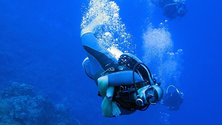 Certified divers will discover beautiful reefs and a vast array of marine life during a vacation in the Caribbean. // © 2016 Dan Orr