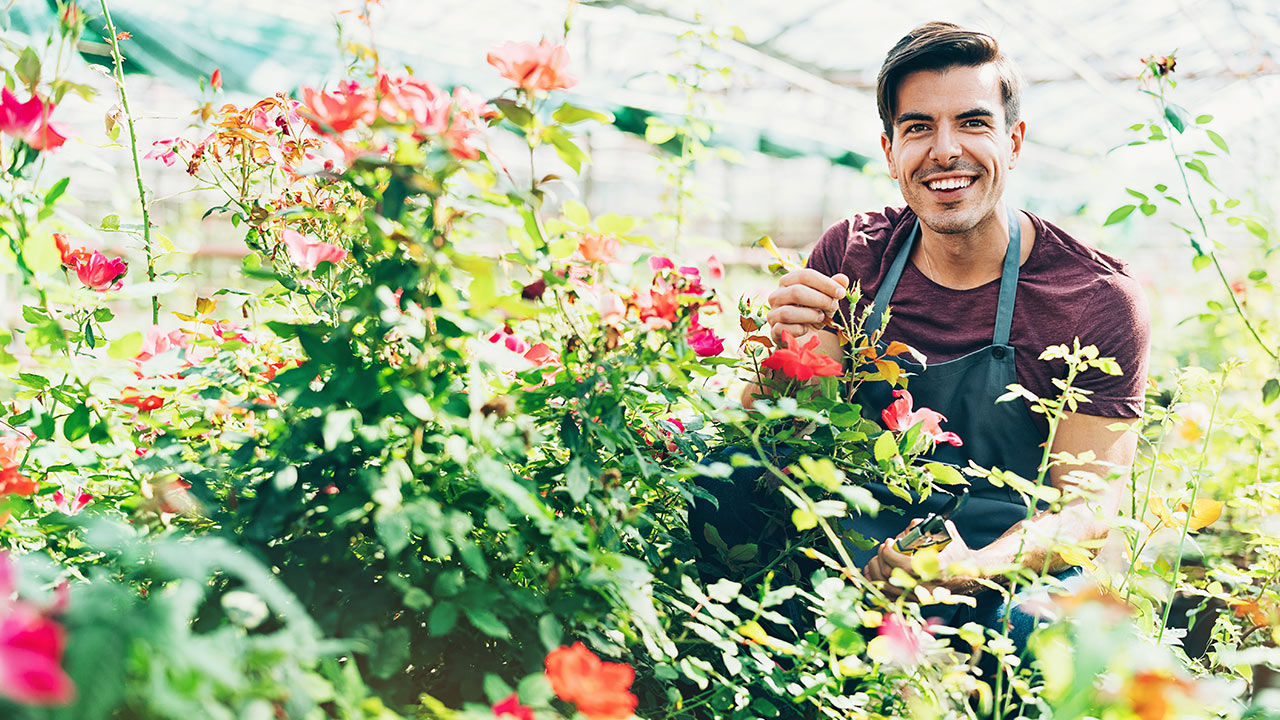 Clients can visit the rose farms of Ecuador.