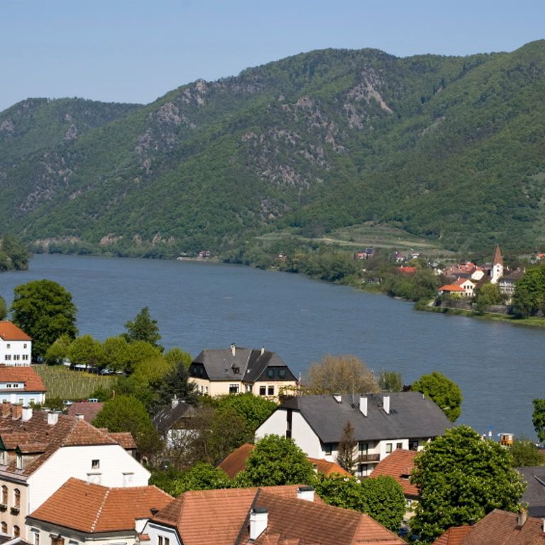 Danube River Cruises