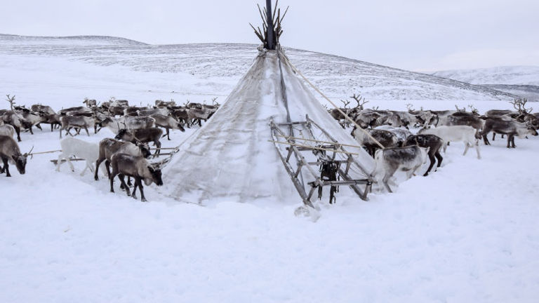 For example, Intrepid Travel’s new trip to Arctic Russia provides new jobs for the local community. // © 2017 Intrepid Travel