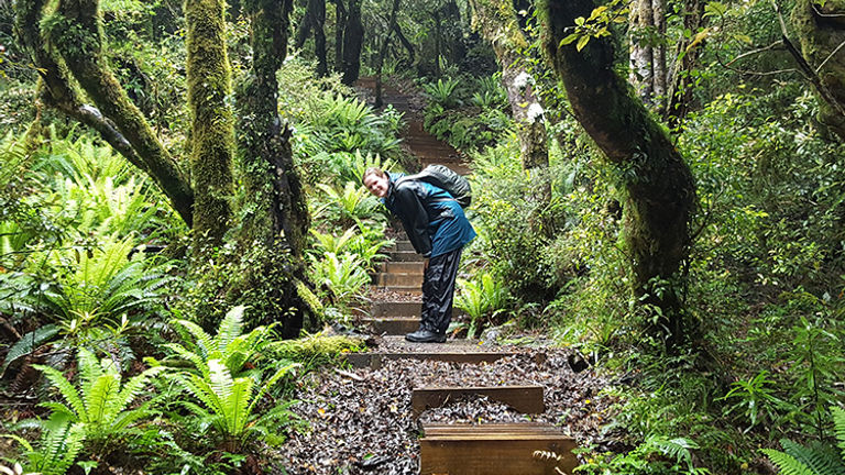 For the best views of Mount Taranaki, trek the Pouakai Crossing on a clear day. // © 2018 Wibke Carter