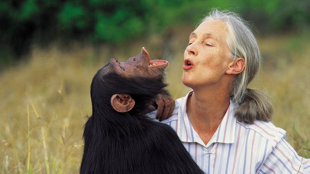 G Adventures Expands Jane Goodall Collection With 5 New Wildlife Trips