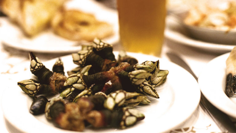 Gastronomes can try goose barnacles in Lisbon. // © 2017 iStock