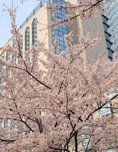 Grand Hyatt Tokyo