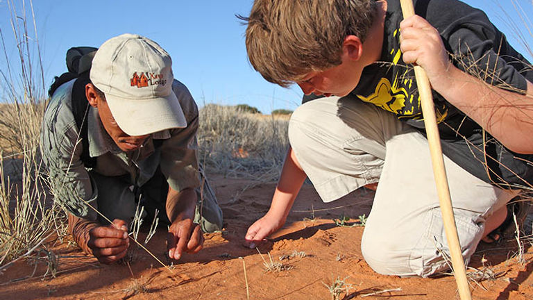 Guests have opportunities to learn from the trained guides. // © 2016 !Xaus Lodge