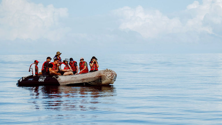 Guests head out in Zodiacs for wildife-spotting and other excursions.