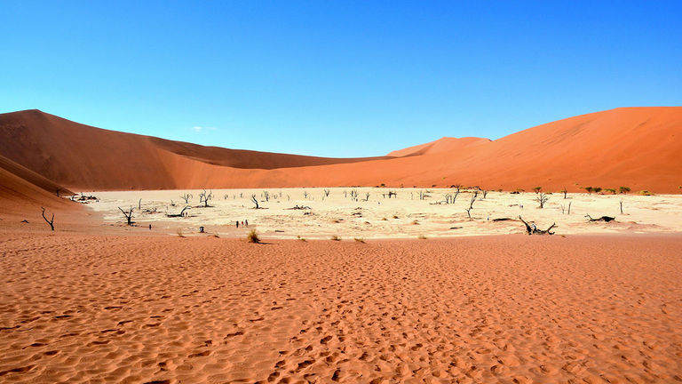 In the Namib Desert's Deadvlei, 600-year-old dead camel-thorn trees are unable to decompose completely due to the dry air.