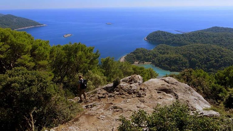 Mljet is said to be Croatia’s greenest island. // © 2017 Creative Commons user carine06