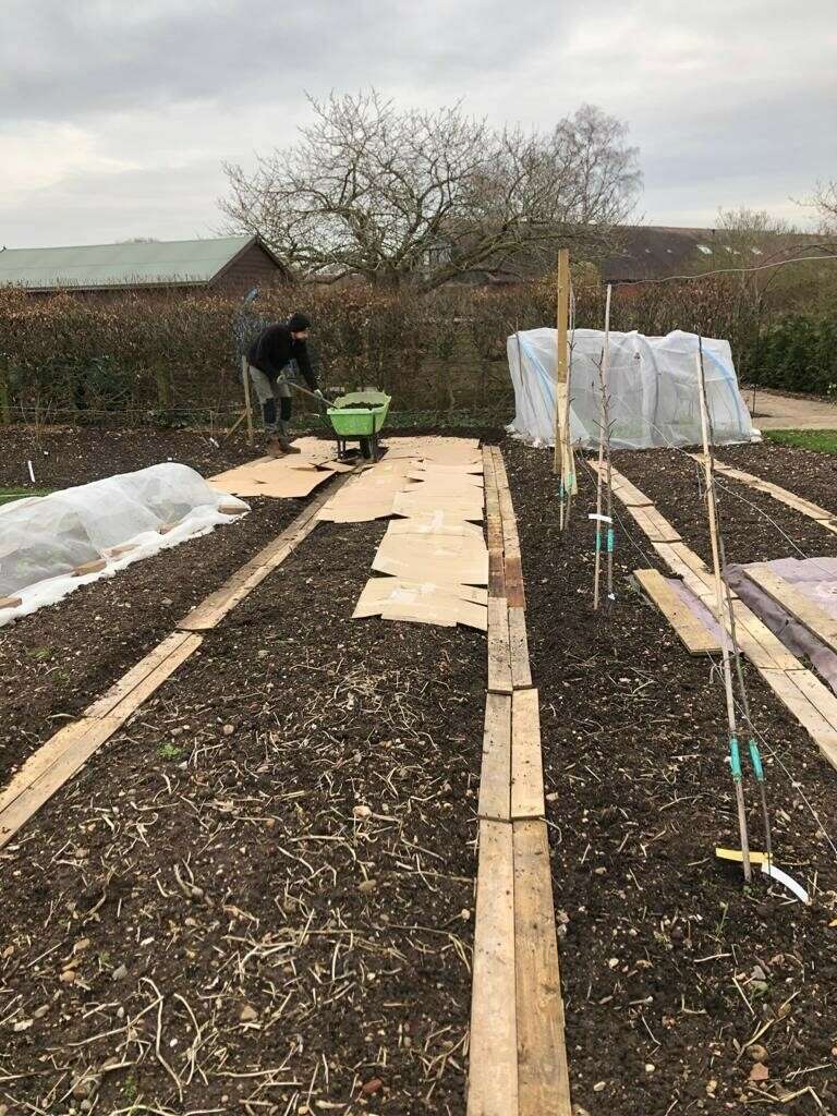 No dig beds covered