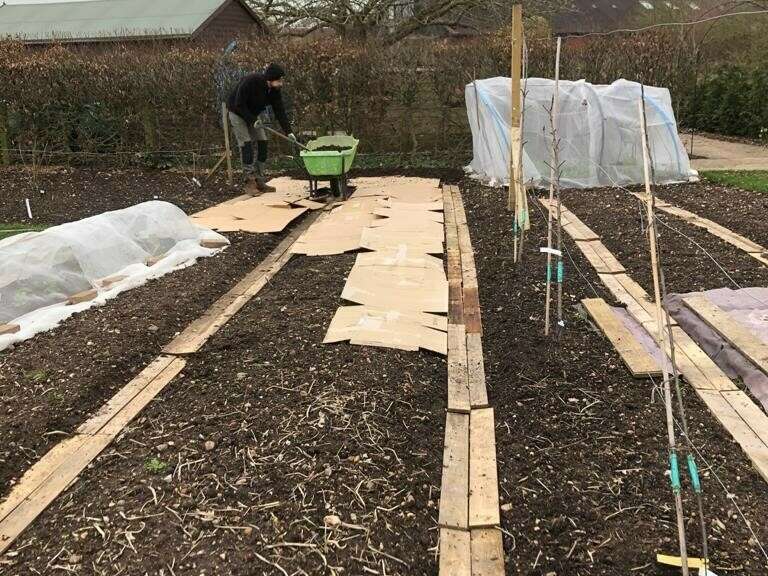 No dig beds covered