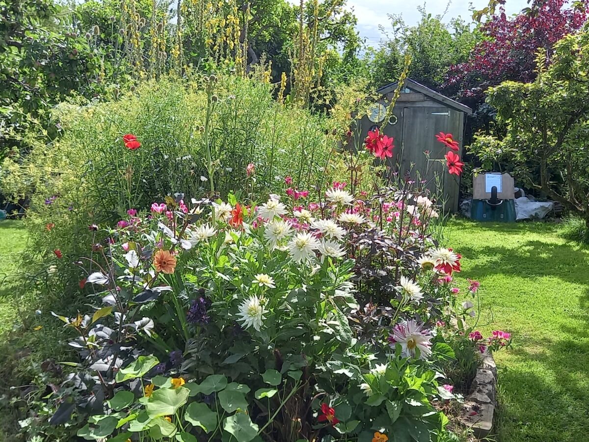 Open gardens
