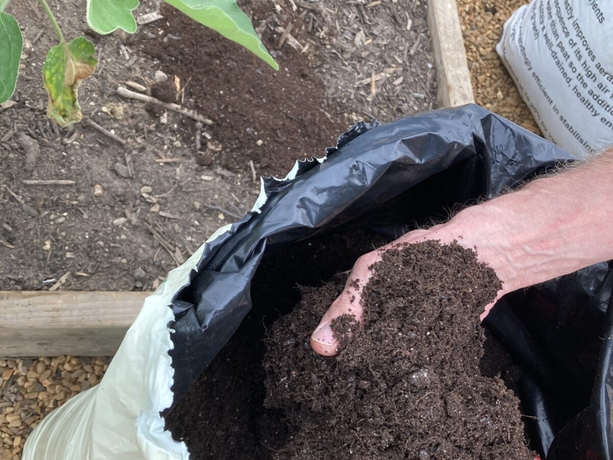 Peat free growing