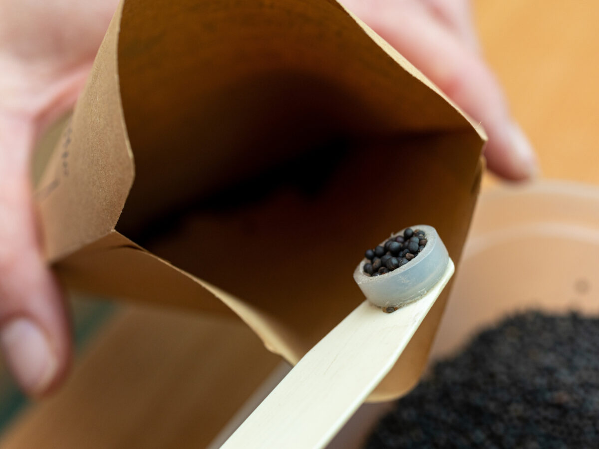 Storing seeds