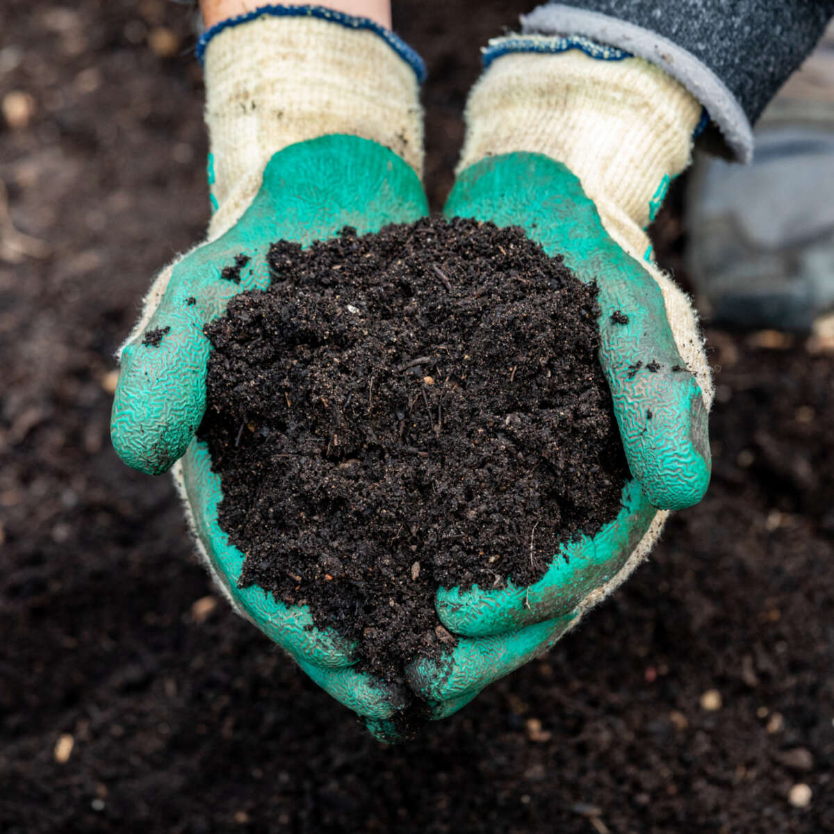 Soil information pack