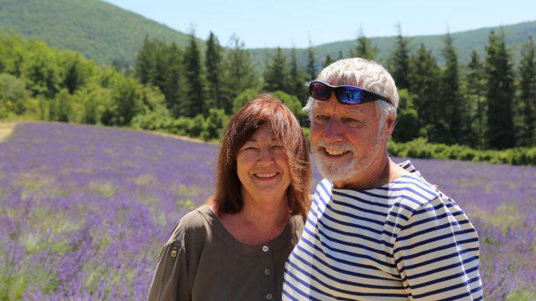 Summertime guests should head to the unforgettable lavender fields in Sault and other towns in Provence’s countryside. // © 2016 Mindy Poder