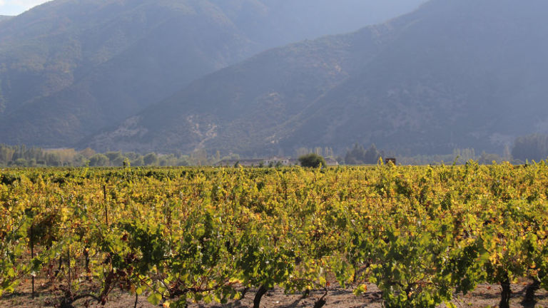 The Colchagua Valley is a great spot for tourists to learn about the country’s wine. // © 2017 Mark Chesnut/LatinFlyer.com