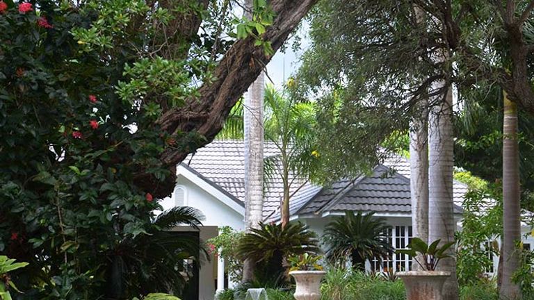 The entrance to the resort’s Fern Tree Spa // © 2016 Parm Parmar