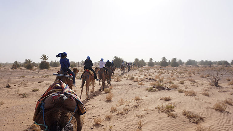 The itinerary includes riding camels in the Sahara Desert. // © 2018 Valerie Chen