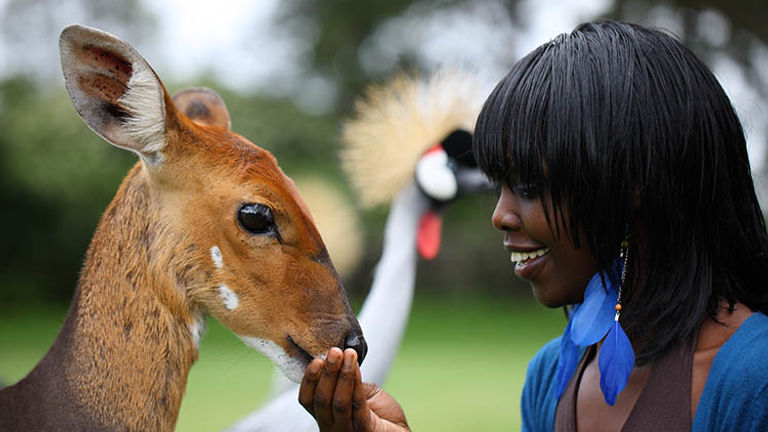 The on-site animal orphanage allows guests to get close to a variety of wildlife.  // © 2016 Fairmont Mount Kenya Safari Club