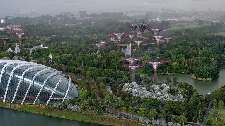 The Singapore Flyer offers views of  Gardens by the Bay.