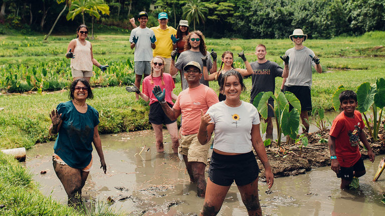 There is a Malama Hawaii package offered at Kualoa Ranch, where visitors can work in a taro patch.