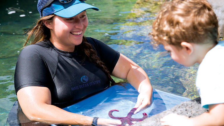 Toddlers will love how up close they can get with Maui’s ocean life.