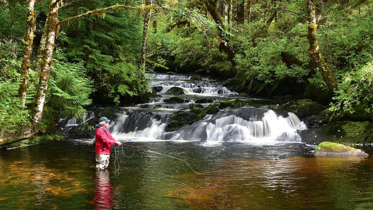 Visitors can try fly-fishing on a tributary of Lunch Creek.