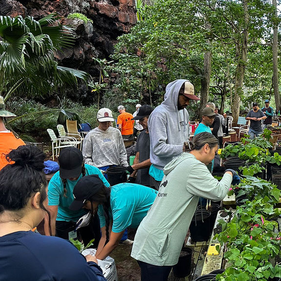 What It's Like to Volunteer With Maui Cultural Lands