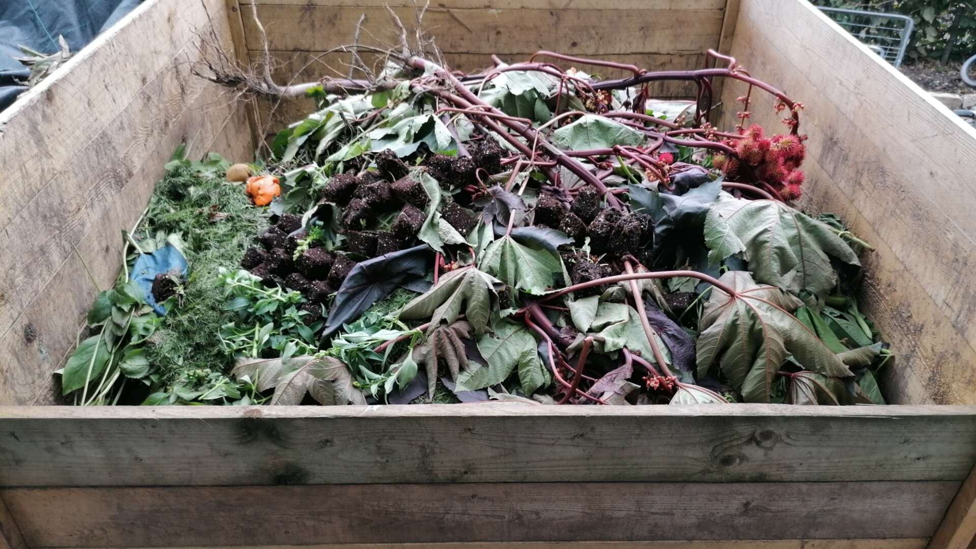 Wooden compost bins at Ryton gardens