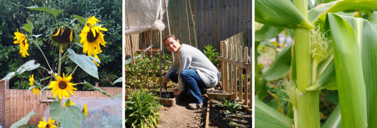 People making home grown veg and flowers
