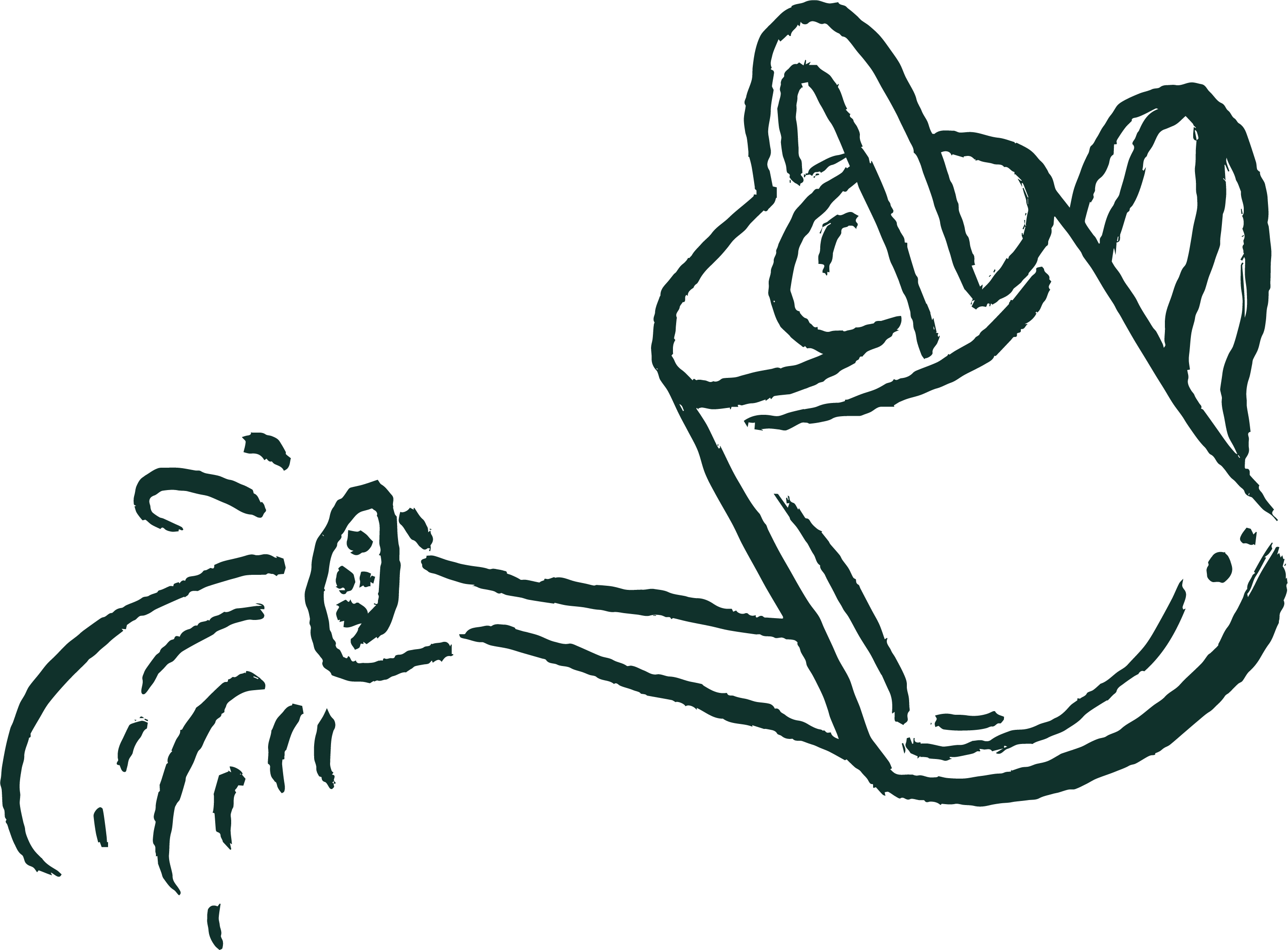 Alternative text should describe the visual content of the image.
